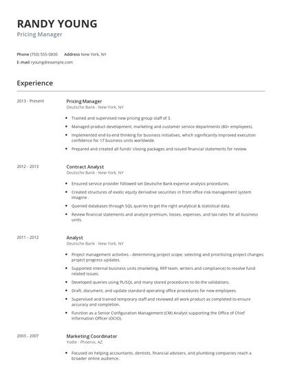 Pricing Manager Resume