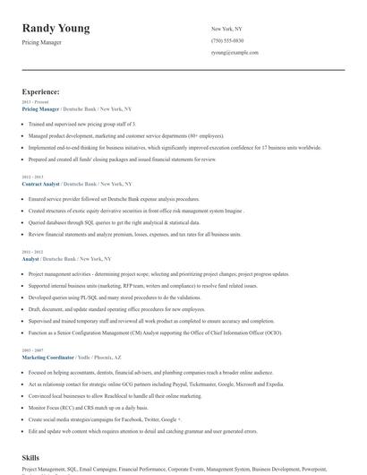 Pricing Manager Resume