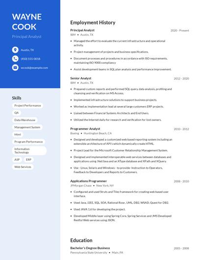 Principal Analyst Resume