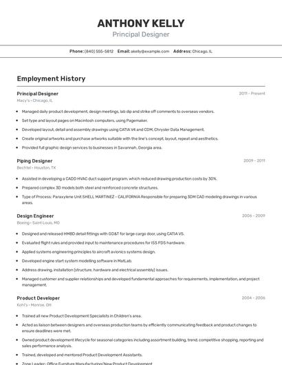 Principal Designer Resume