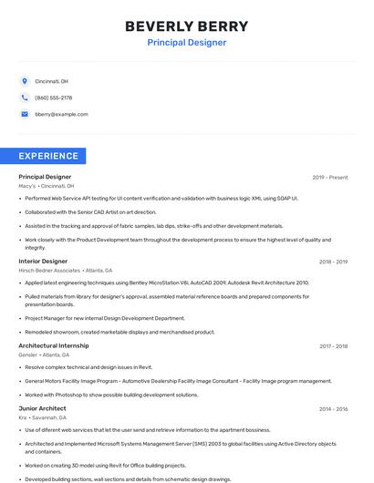 Principal Designer Resume