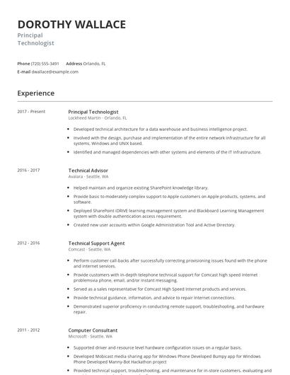 Principal Technologist Resume