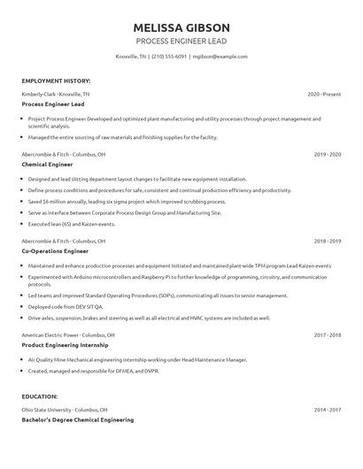 Process Engineer Lead Resume