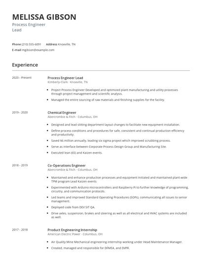 Process Engineer Lead Resume