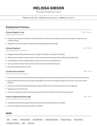 Process Engineer Lead Resume