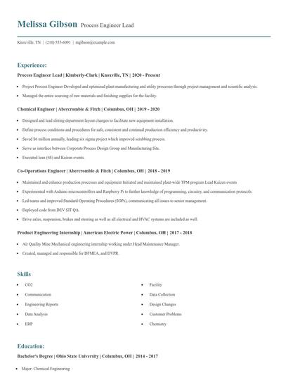 Process Engineer Lead Resume