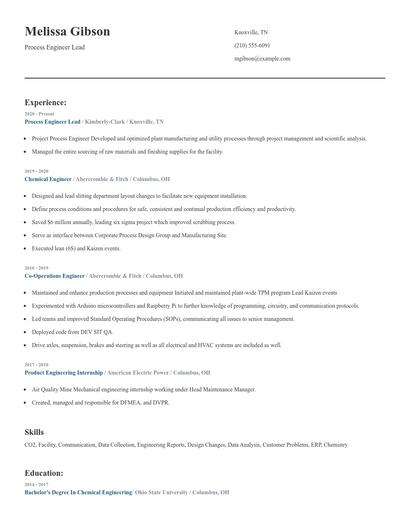 Process Engineer Lead Resume