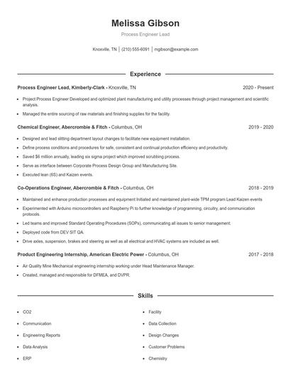 Process Engineer Lead Resume