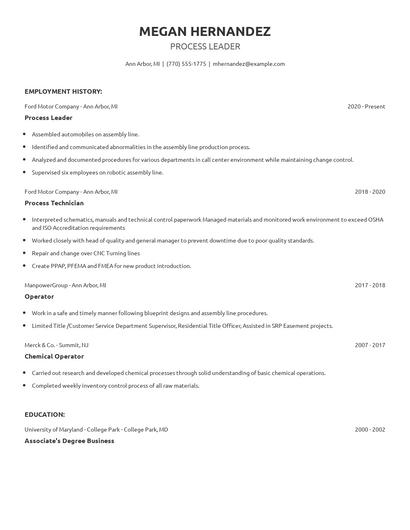Process Leader Resume
