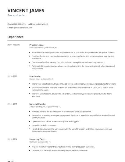 Process Leader Resume