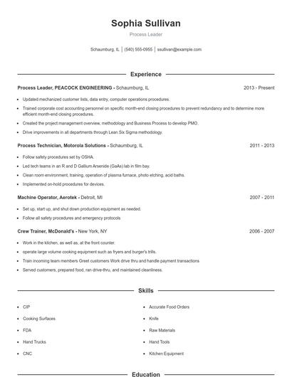 Process Leader Resume