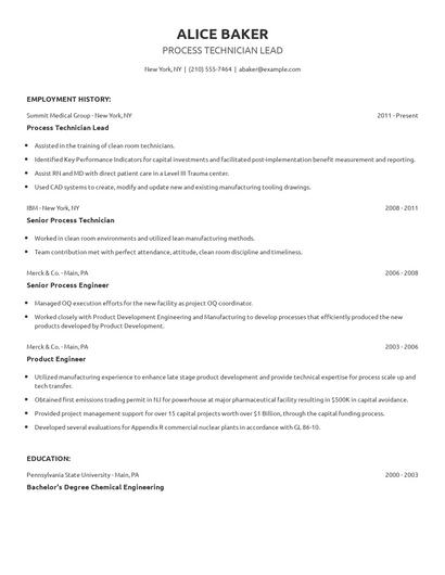 Process Technician Lead Resume