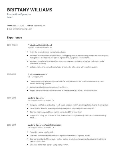 Production Operator Lead Resume