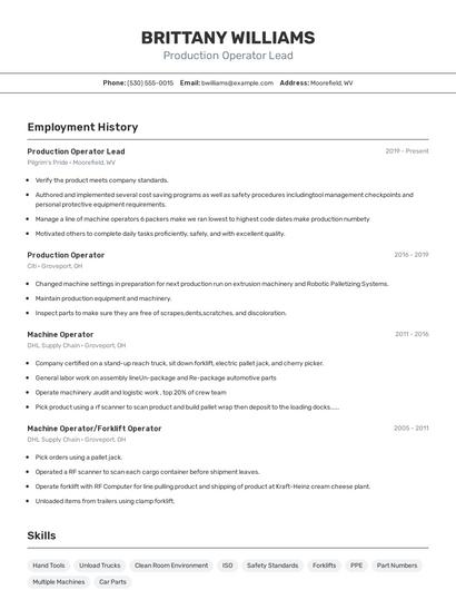 Production Operator Lead Resume