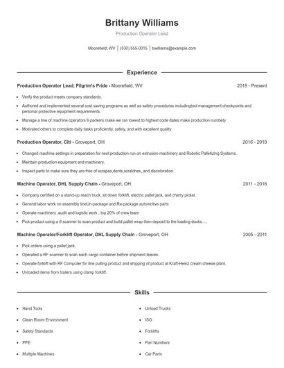 Production Operator Lead Resume