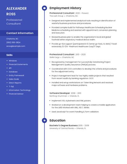 Professional Consultant Resume