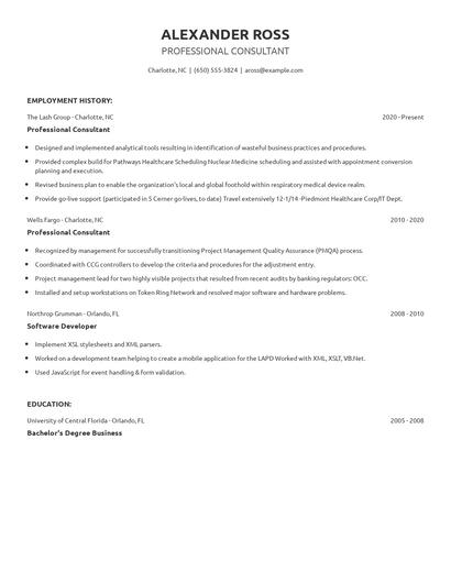Professional Consultant Resume
