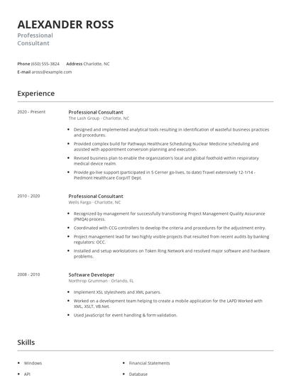 Professional Consultant Resume