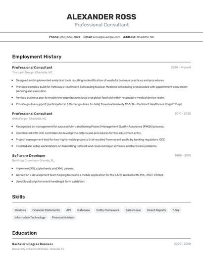 Professional Consultant Resume