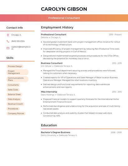 Professional Consultant Resume