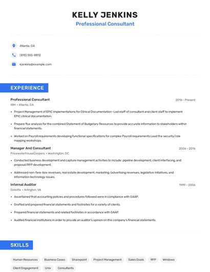 Professional Consultant Resume