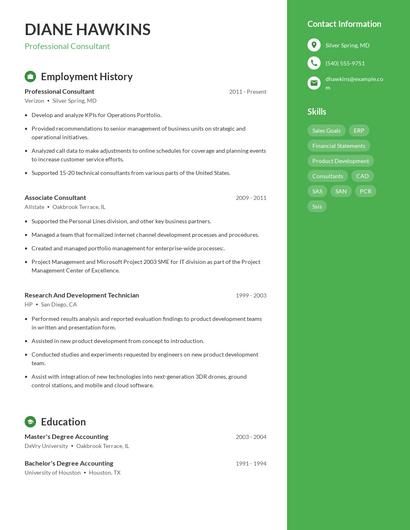 Professional Consultant Resume