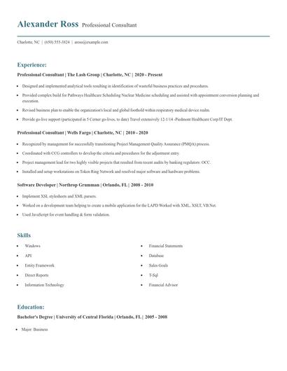 Professional Consultant Resume