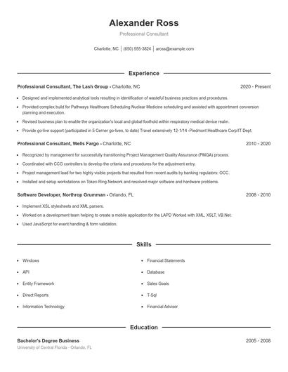 Professional Consultant Resume