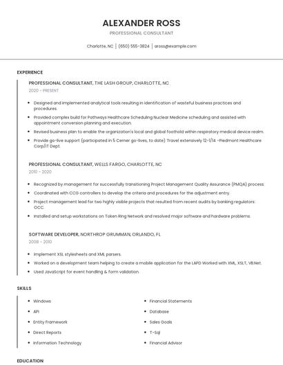 Professional Consultant Resume