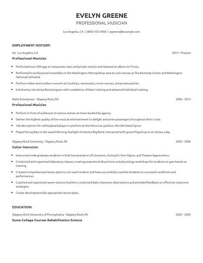 Professional Musician Resume