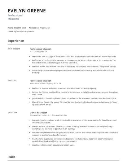 Professional Musician Resume