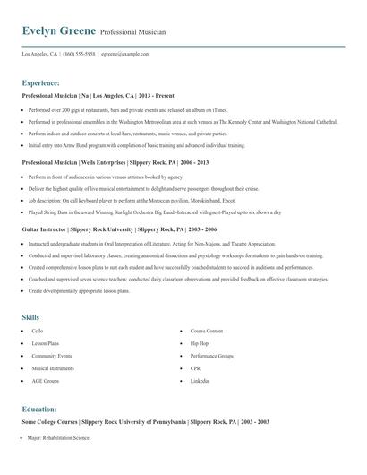 Professional Musician Resume
