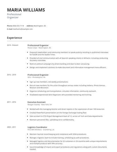 Professional Organizer Resume