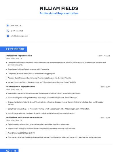 Professional Representative Resume