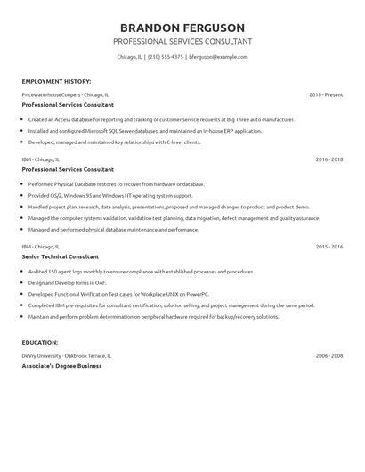 Professional Services Consultant Resume