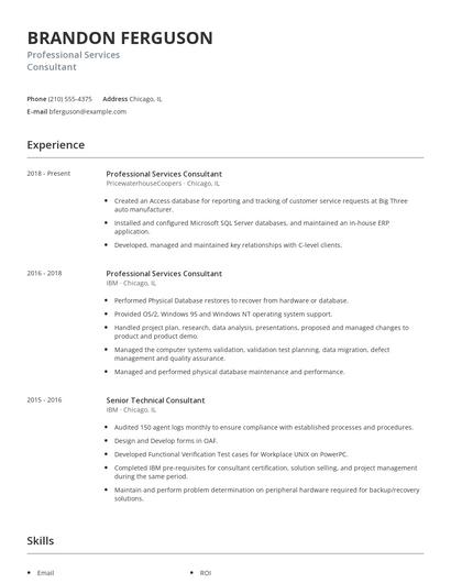 Professional Services Consultant Resume