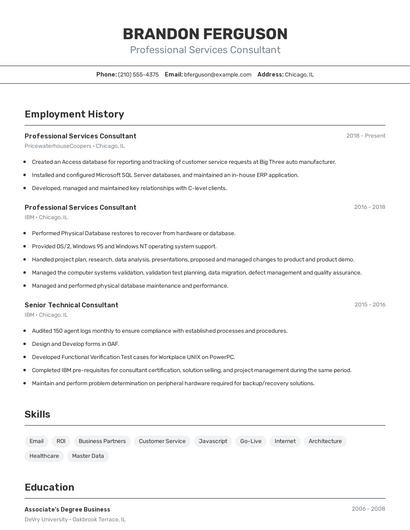 Professional Services Consultant Resume
