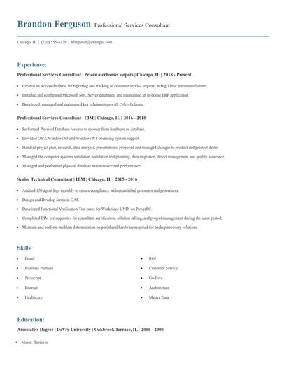 Professional Services Consultant Resume