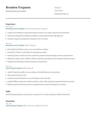Professional Services Consultant Resume