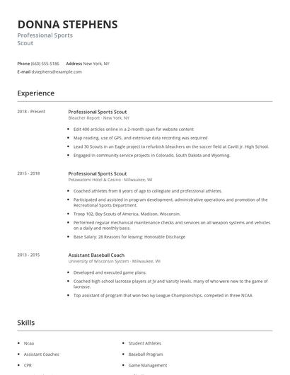 Professional Sports Scout Resume