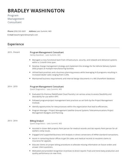 Program Management Consultant Resume