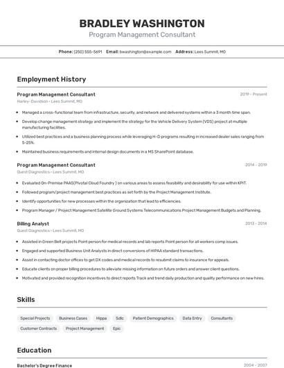 Program Management Consultant Resume