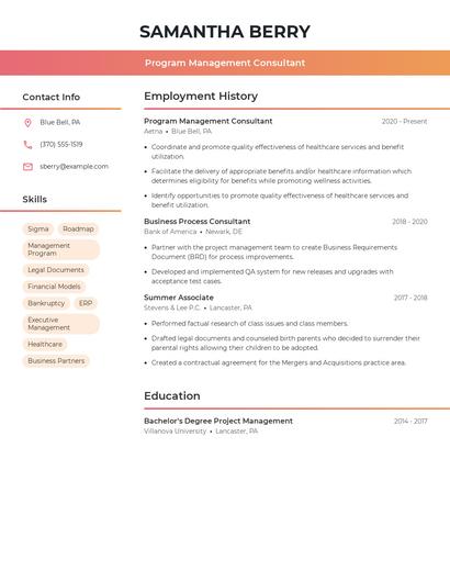 Program Management Consultant Resume