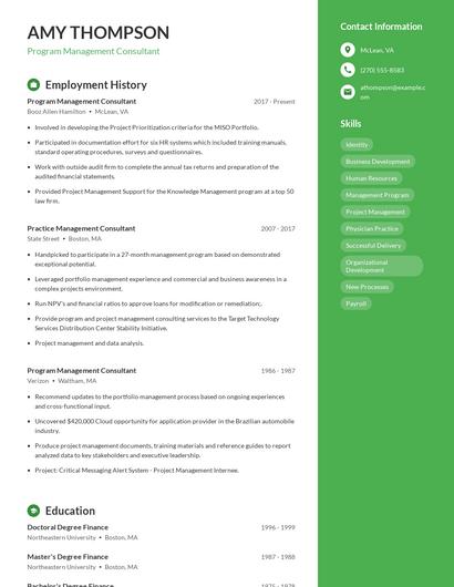 Program Management Consultant Resume