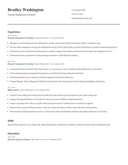 Program Management Consultant Resume