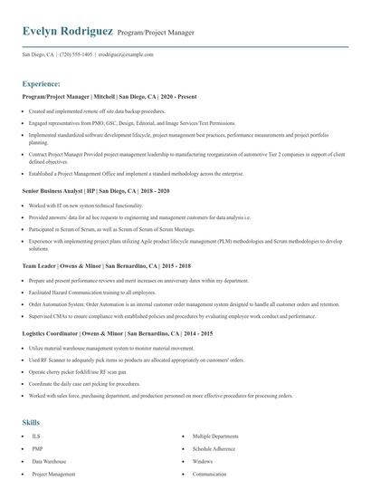 Program/Project Manager Resume