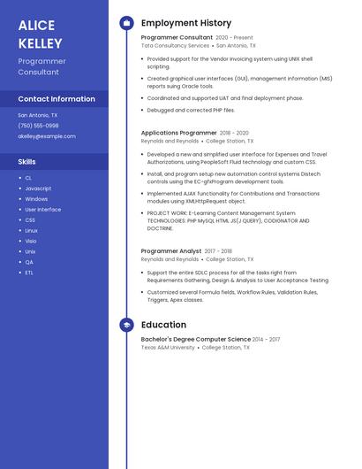 Programmer Consultant Resume