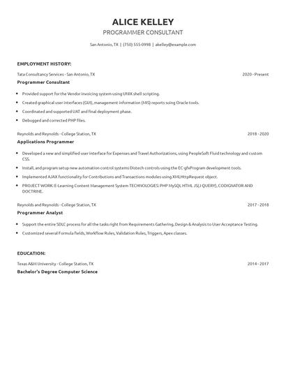 Programmer Consultant Resume