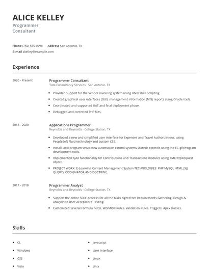 Programmer Consultant Resume