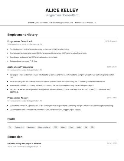 Programmer Consultant Resume